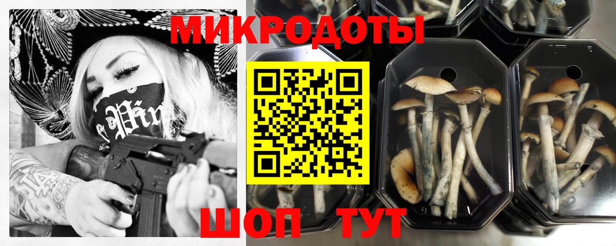 купить закладку  Галлюциногенные грибы ЛСД  Псилоцибиновые грибы мухоморы  Вход с VPN  Железноводск 